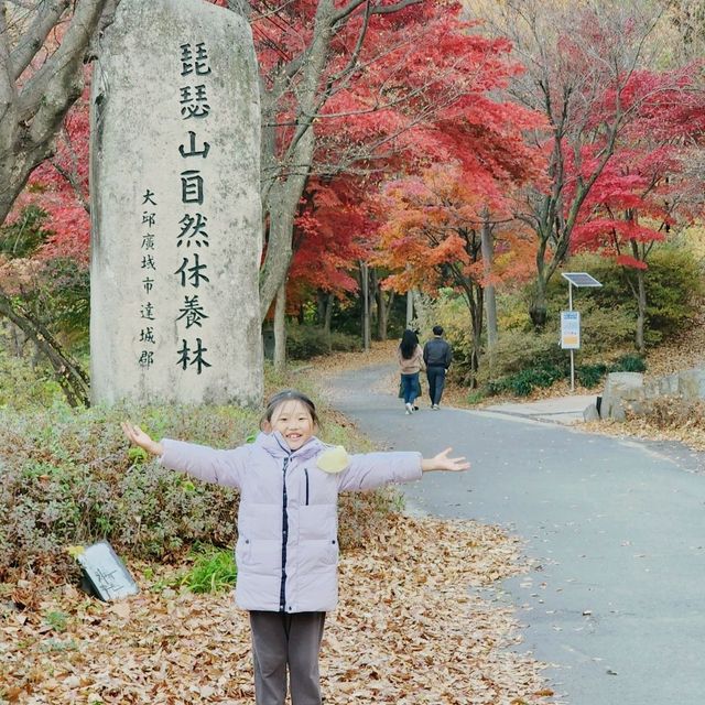 비슬산 가을풍경 11월초 단풍절정
