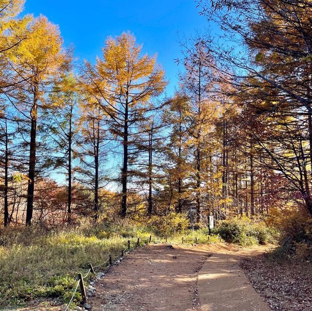 지리산 단풍 중산리 - 천왕봉 단풍 진짜 이뻐요 ♥ 