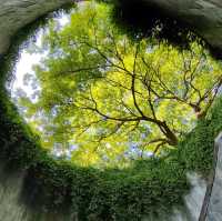 Fort Canning Park
