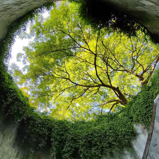 Fort Canning Park