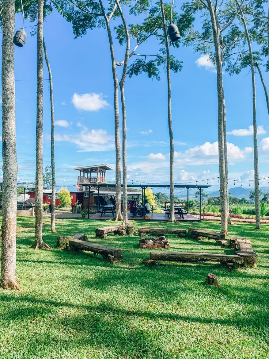 Bukidnon 2023 Top Things to Do Bukidnon Travel Guides Top