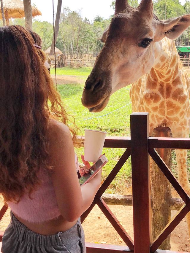 A close encounter with safari friends