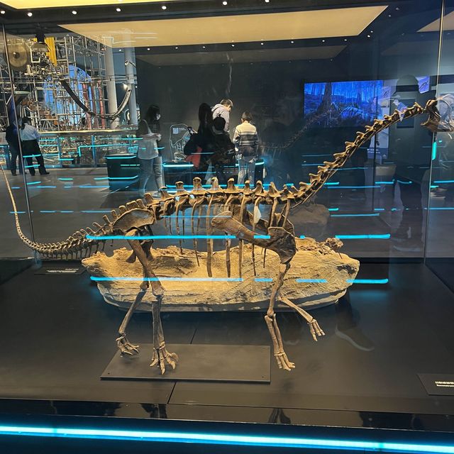 八大·尋龍🦖記