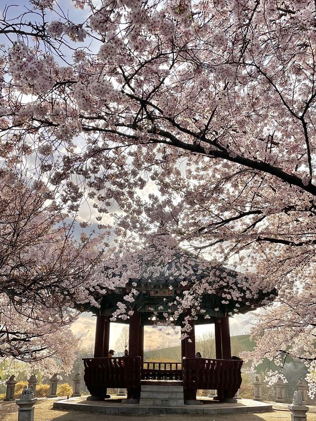 벚꽃 터널이 아름다운 올림픽공원 송파둘레길🌸