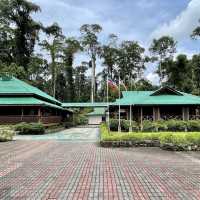 Sepilok Orangutan Rehabilitation Centre