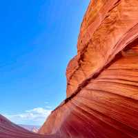 The wonderful Wave