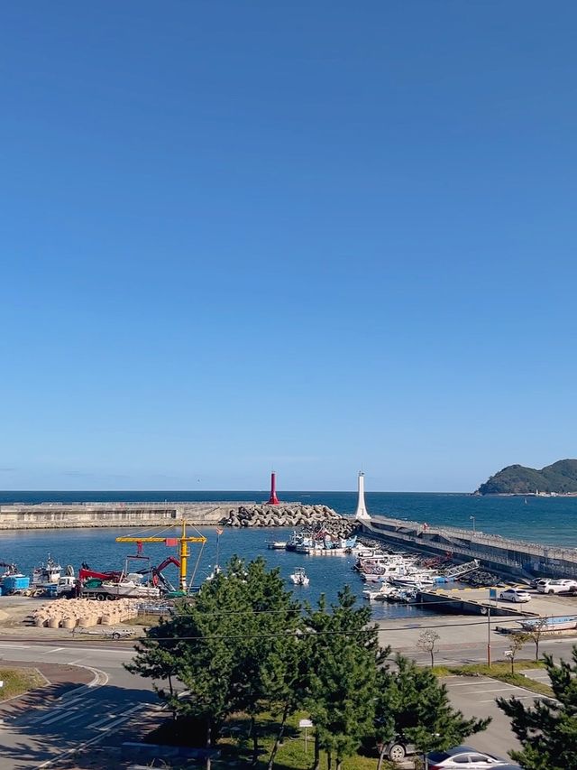 동해 바다 뷰가 한눈에 보이는 감성 카페☕️ 