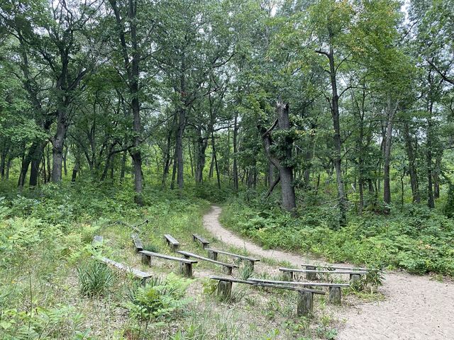 Dune Ridge Trail - Indiana Dunes 