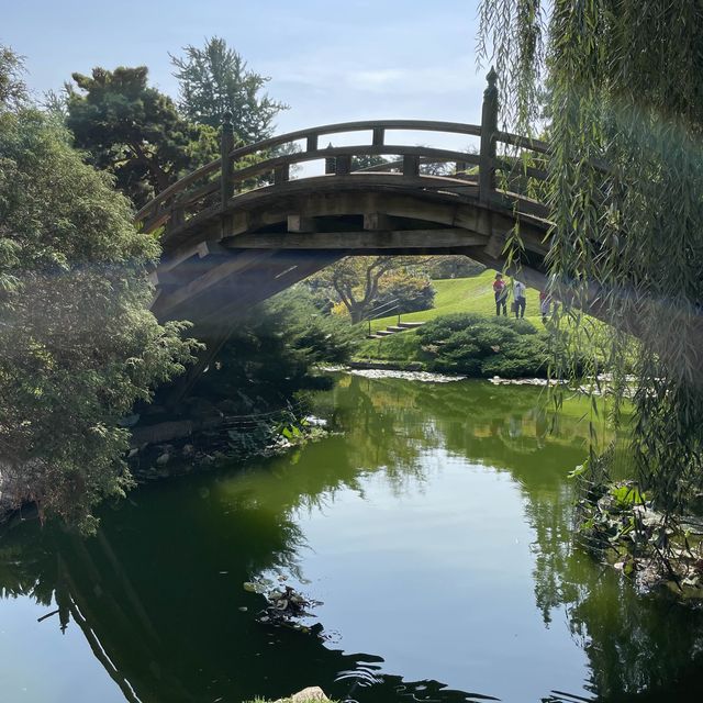 Magnificent Asian garden, a must visit to LA