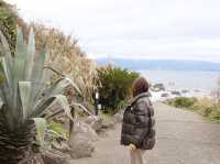 【熱海】蟹食べ放題に貸切露天風呂、贅沢すぎる女子旅プラン。