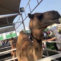 Al Areen Wildlife Park & Reserve