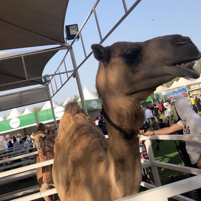 Al Areen Wildlife Park & Reserve