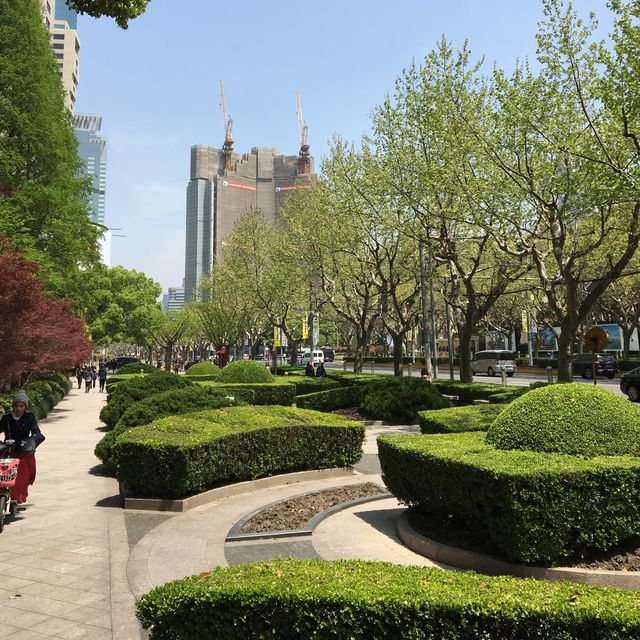Roof Top Delight -Jing’an 