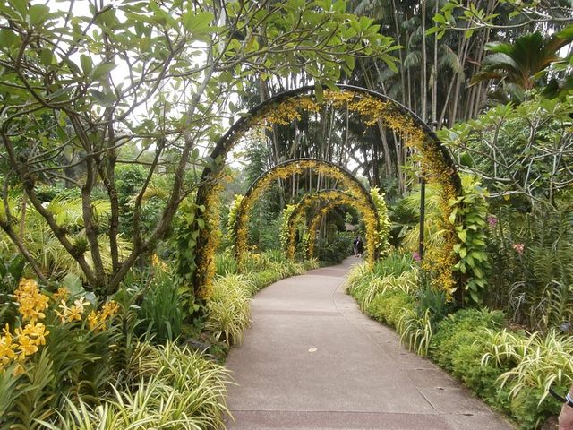 Holiday at Botanic Gardens Singapore