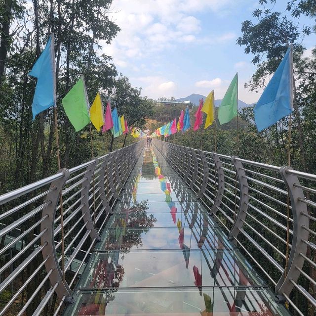 Glass Bridge & 3km Water Slide in Yiwu!😱🏞⛰