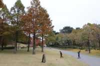 용인 호암미술관 산책하며 계절을 느껴요