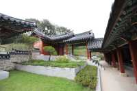 용인 대장금파크 최대규모 놀랍다!