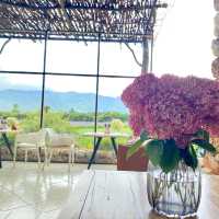 Tinghua Valley💐