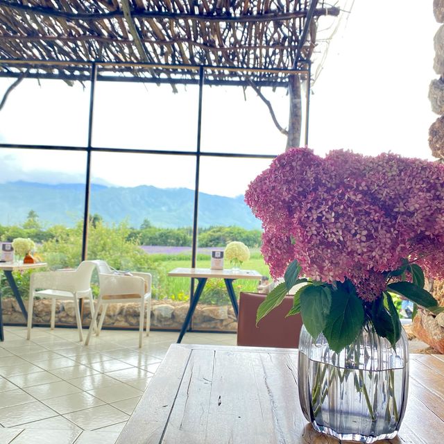 Tinghua Valley💐
