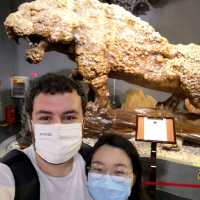 Incredible Minerals and fossils at Shilin