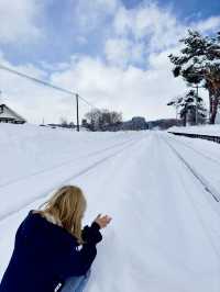 Sapporo to Biei: Guide to capturing the Christmas tree hotspot