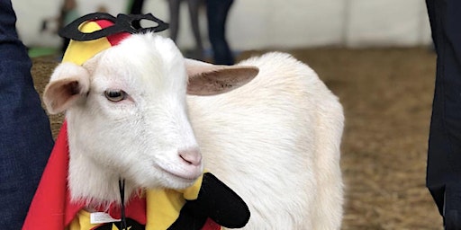 Goat Yoga Nashville- Halloween Spooktacular (Nolensville) | Goat Yoga Nashville