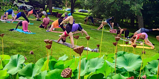 Yoga with Heather 10/6 | Kenilworth Aquatic Gardens