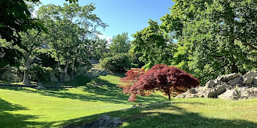 Arboretum Tour: Wyndham | 36 Beacon Hill Rd