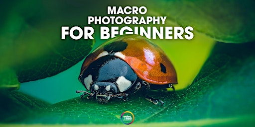 Macro Photography for Beginners With Stewart Wood | International Convention Centre Wales