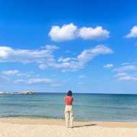 동해안 숨은 바다 맛집🌊