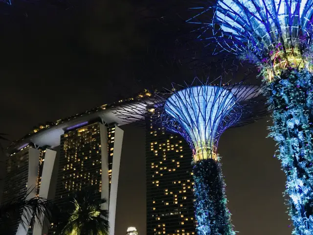 싱가포르 가든즈 바이 더 베이