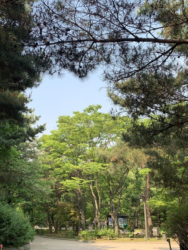 서울 궁궐 나들이 :: 창경궁 대온실🤍