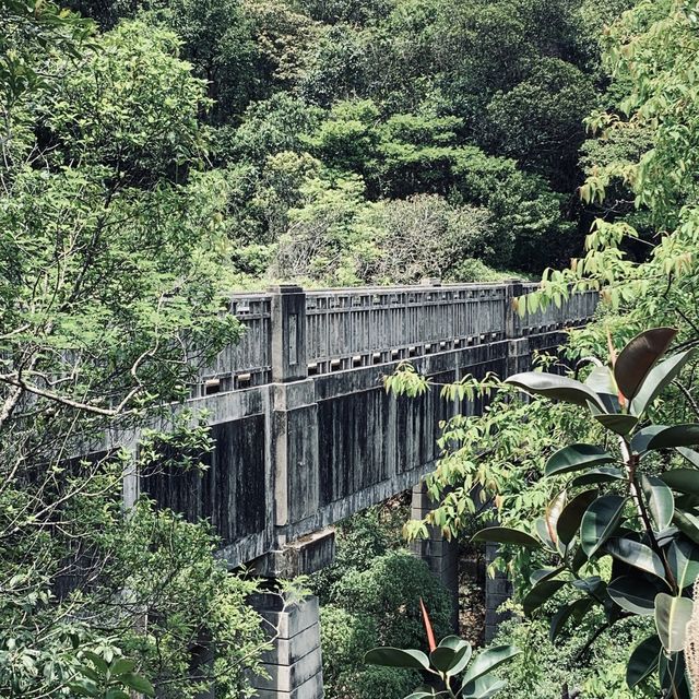 「柴灣猛鬼橋」