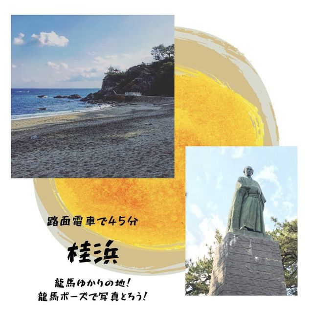 【高知】観光スポットまとめ！！