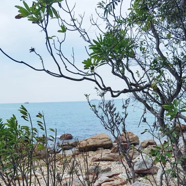 大澳虎山遊
