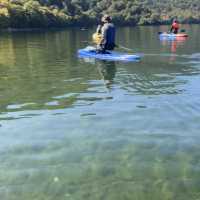 【栃木 日光】まるで空中散歩！透明度抜群の中禅寺湖でSUP体験！