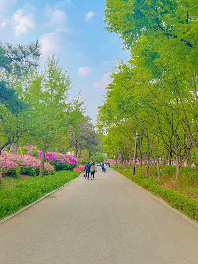 [서울] 이런날씨에 딱❗️ 보라매공원🌳