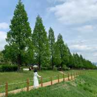 자연을 가득 느낄 수 있는 청주 문암생태공원 🌳