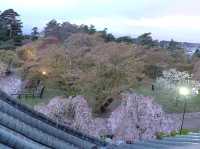 賞櫻花勝地｜弘前公園🌸🌸