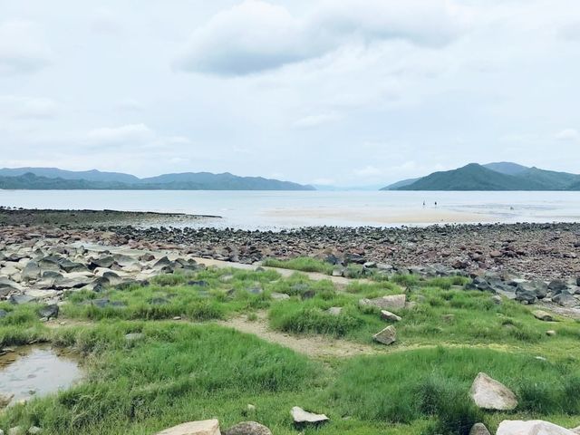 泥涌失望之旅