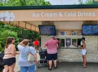 St. Louis Zoo (Ice Cream Oasis)