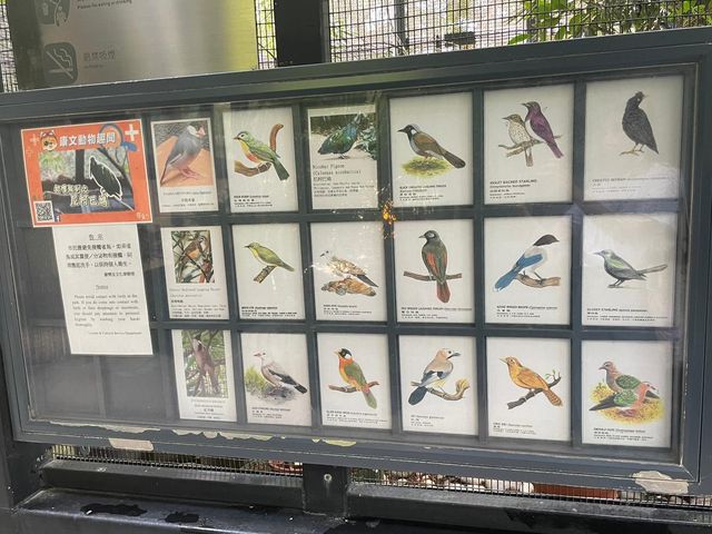 置身於大自然@《百鳥塔》
