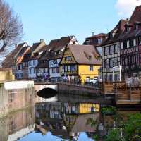 法國Colmar 🌸小威尼斯