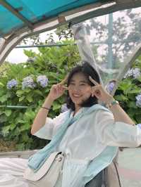 [제주도]꼭 타보고싶은 오름 주변을 도는 레일바이크🛺