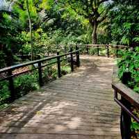 Ethnobotany Gardens Singapore 