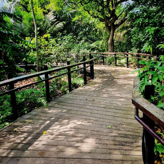 Ethnobotany Gardens Singapore 