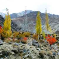 Autumn In Kargil, India