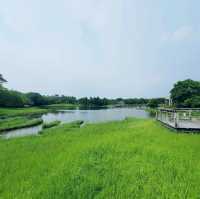 生態之旅 - 香港濕地公園