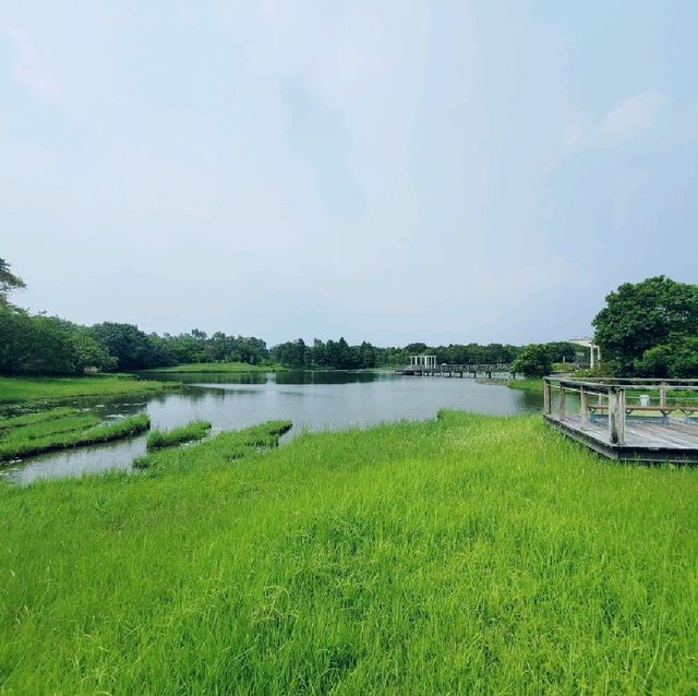 生態之旅 - 香港濕地公園