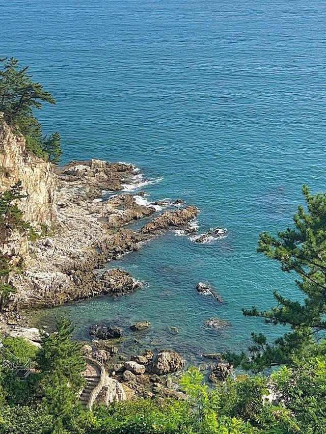 부산의 숨은 스노쿨링 명소🤿 부산 나폴리💙